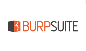 Burp Suite Professional 2023.3.1 Crack Download